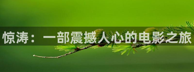 新闻图片