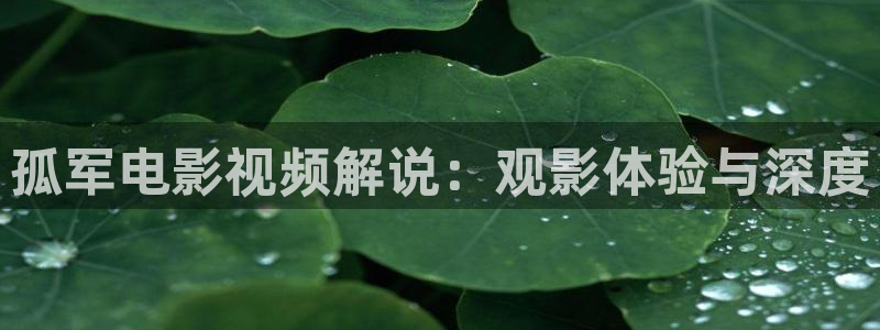 新闻图片