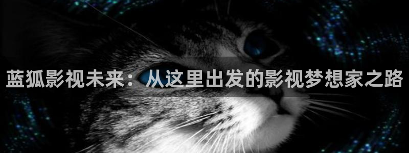 久久久久神马视频