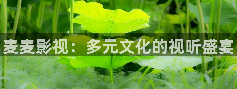 国内精品伊人久久久久aⅴ影院