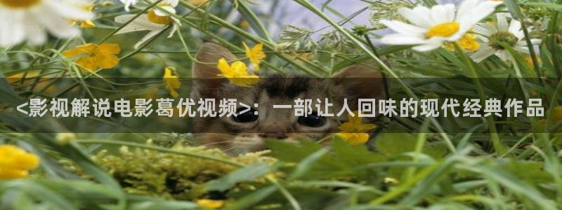 久久视频一区二区三区