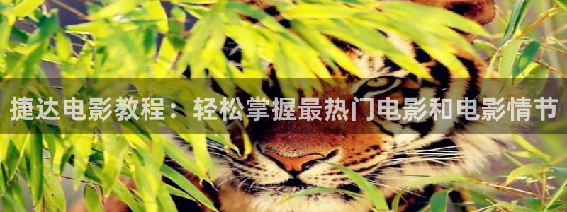 被窝电影久久久