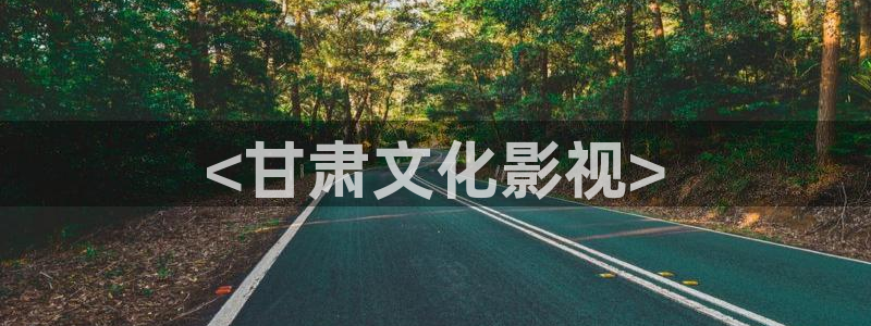 国产精品久久久久影院老司