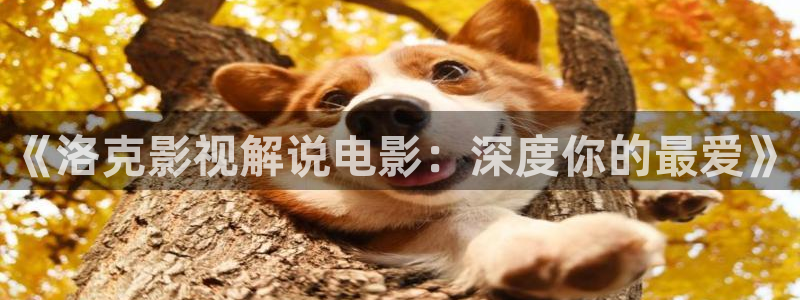 国产精品欧美久久久久天天影视
