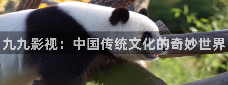 久久视频韩国