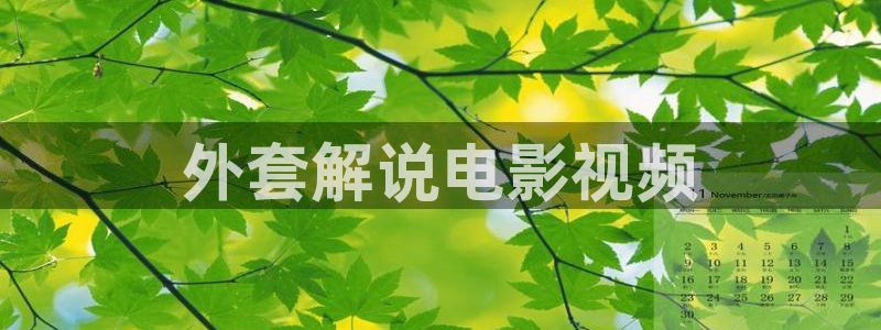 国内精品久久久久影视