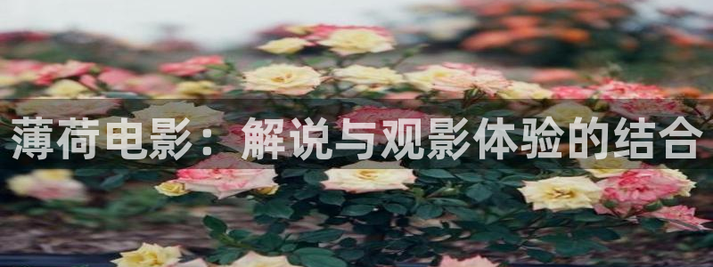 个人影院久久久