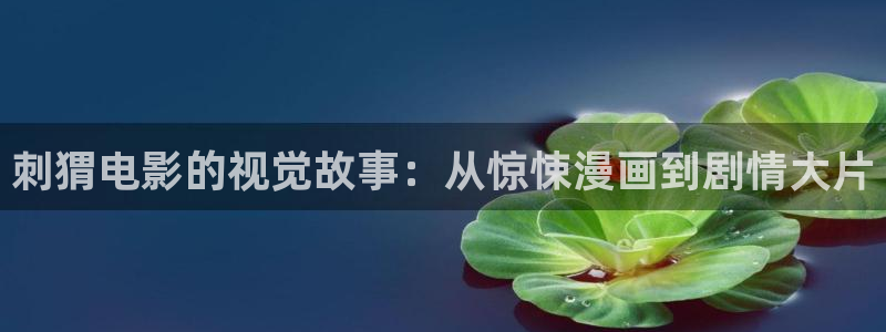 久久久视频免费