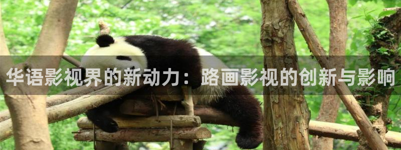 视频久久久久久