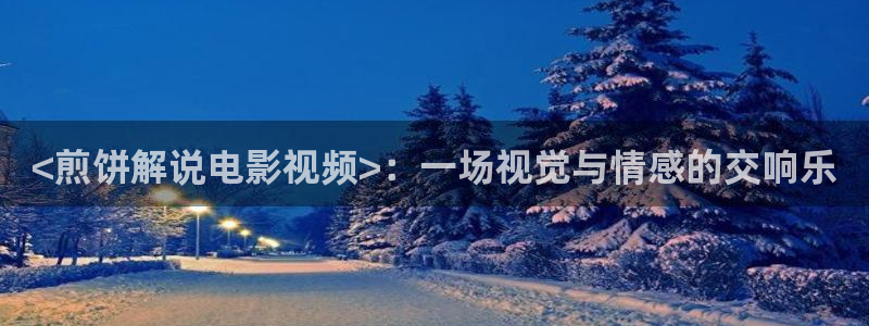 久久久久久亚洲精品视频