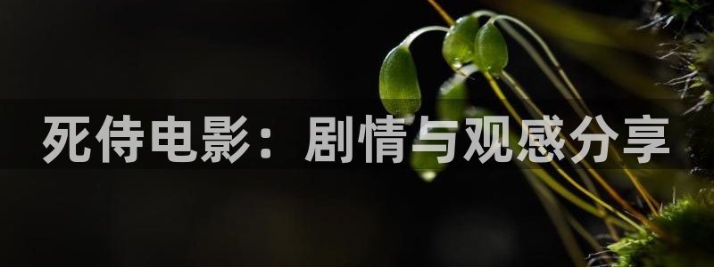 午夜影院久久久久久
