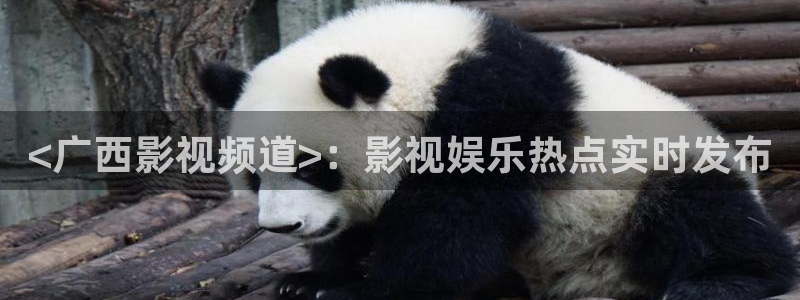 久久视频精
