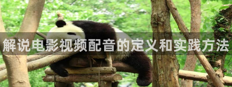 久久视频在线网站