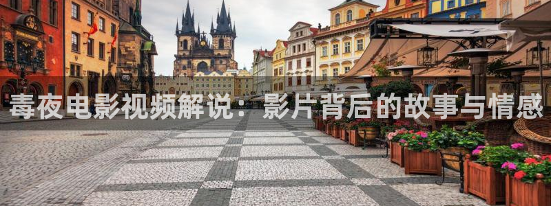 麻豆久久久9性大片