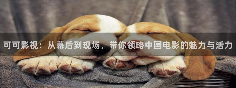 久久视频精彩