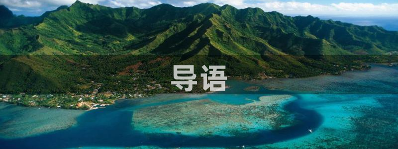 国产精品三级久久久久久电影