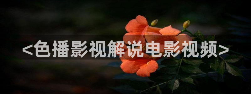 男人久久视频
