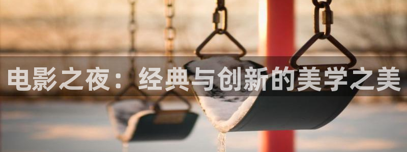 欧美久久久久视频