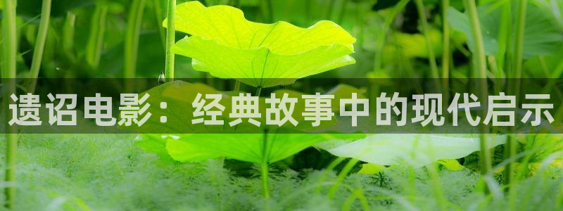 国产精品久久久久久久大片