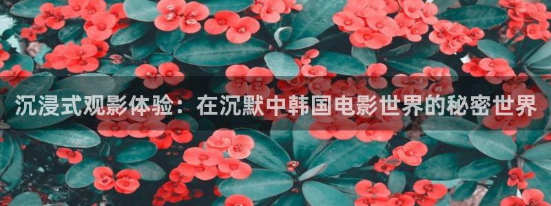 久久久久三级精品视频