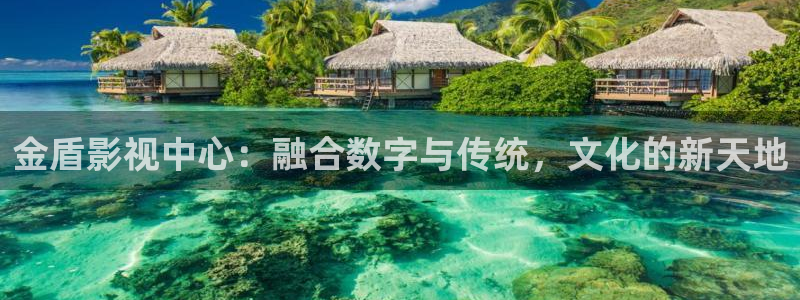 久久久久久久久国内精品影视